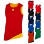 Форма баскетбольная мужская двухсторонняя Errea Chicago Double Singlet AD (33401242)