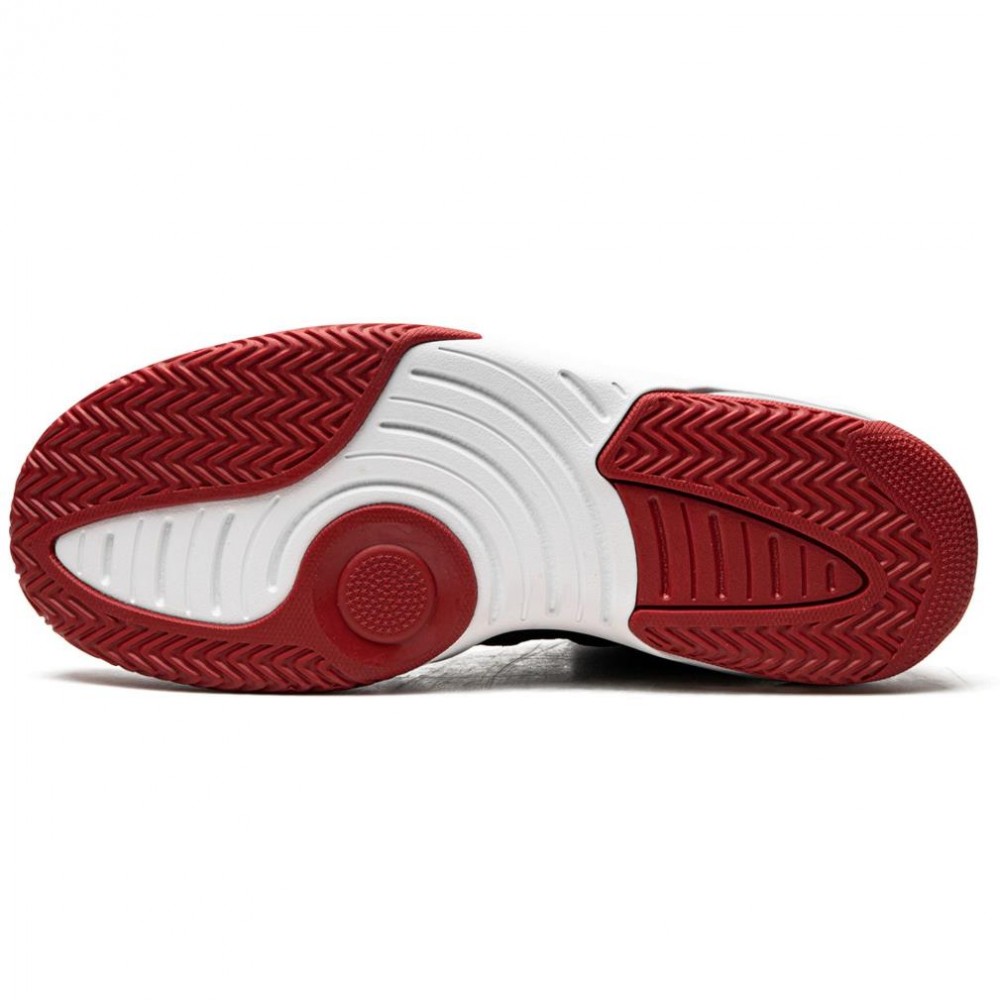Кроссовки баскетбольные Jordan Max Aura (AQ9084-023)
