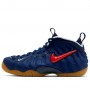 Кроссовки баскетбольные Nike Air Foamposite Pro Basketball Shoes (CJ0325-400)