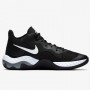 Кроссовки баскетбольные Nike Renew Elevate черный (CK2669-001)