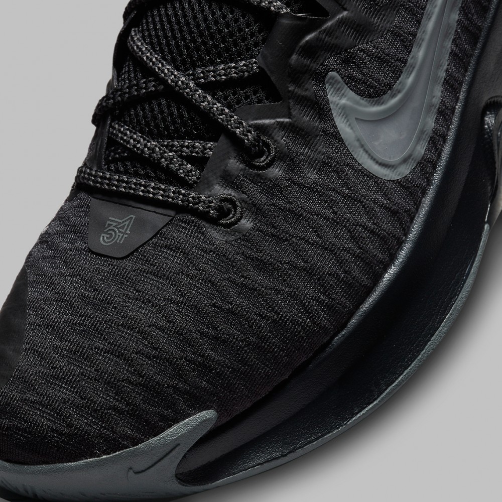 Кроссовки баскетбольные Nike Giannis Immortality (CZ4099-009) 