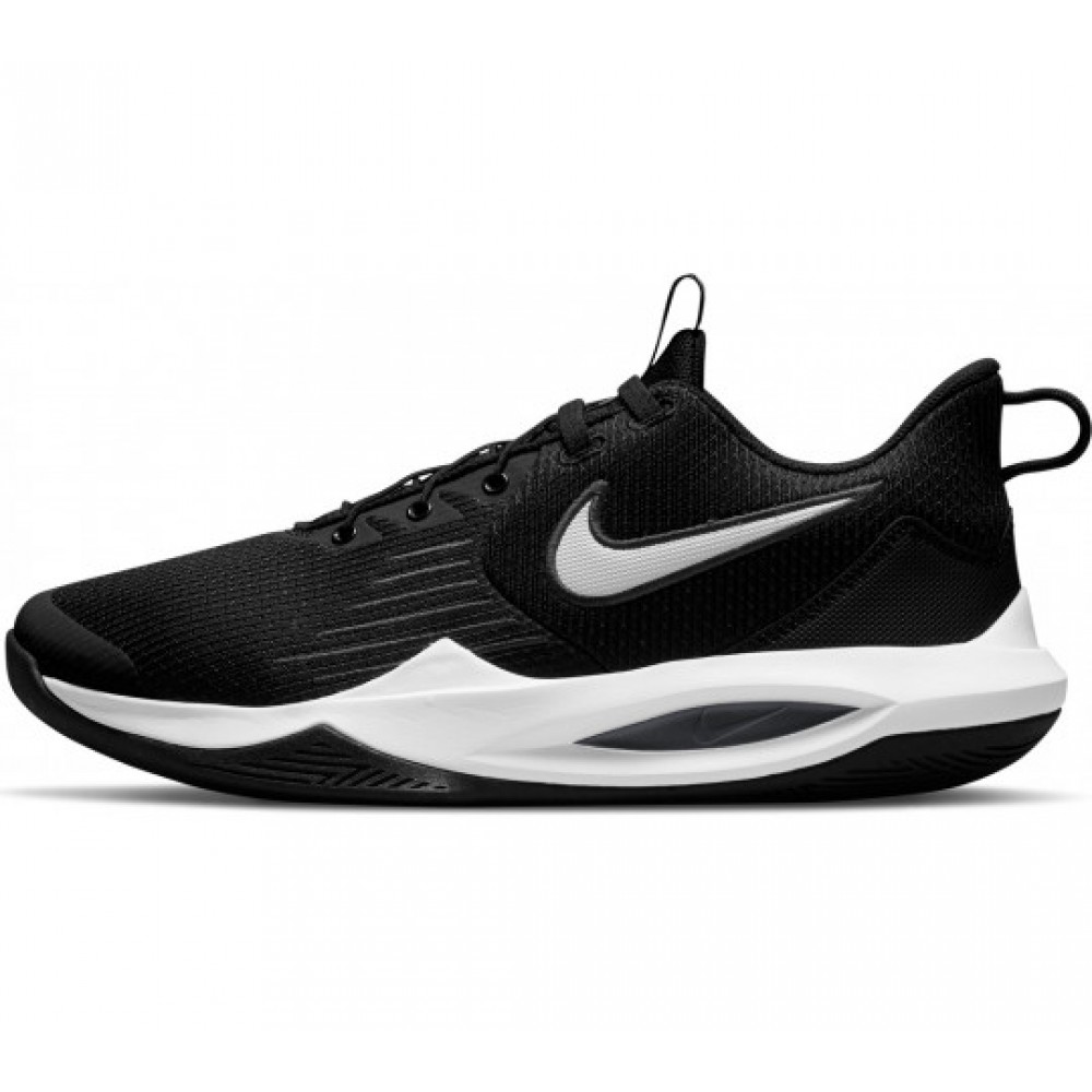 Кроссовки баскетбольные Nike Precision 5 FlyEase (DC5590-003)