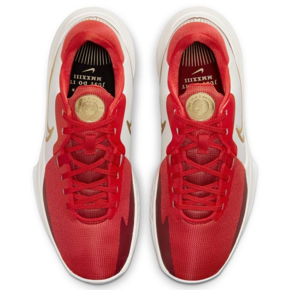 Кроссовки баскетбольные Nike Precision 6 (DD9535-006)