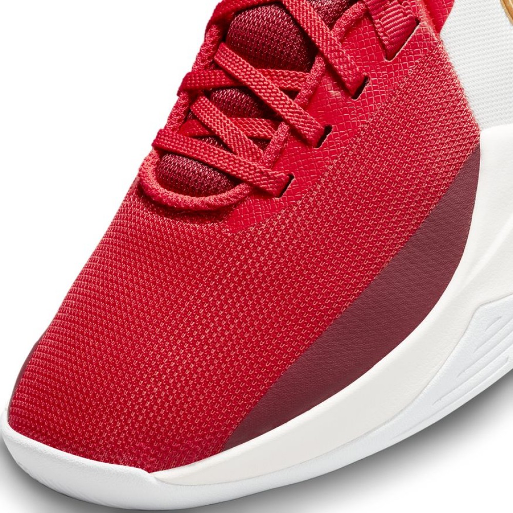 Кроссовки баскетбольные Nike Precision 6 (DD9535-006)