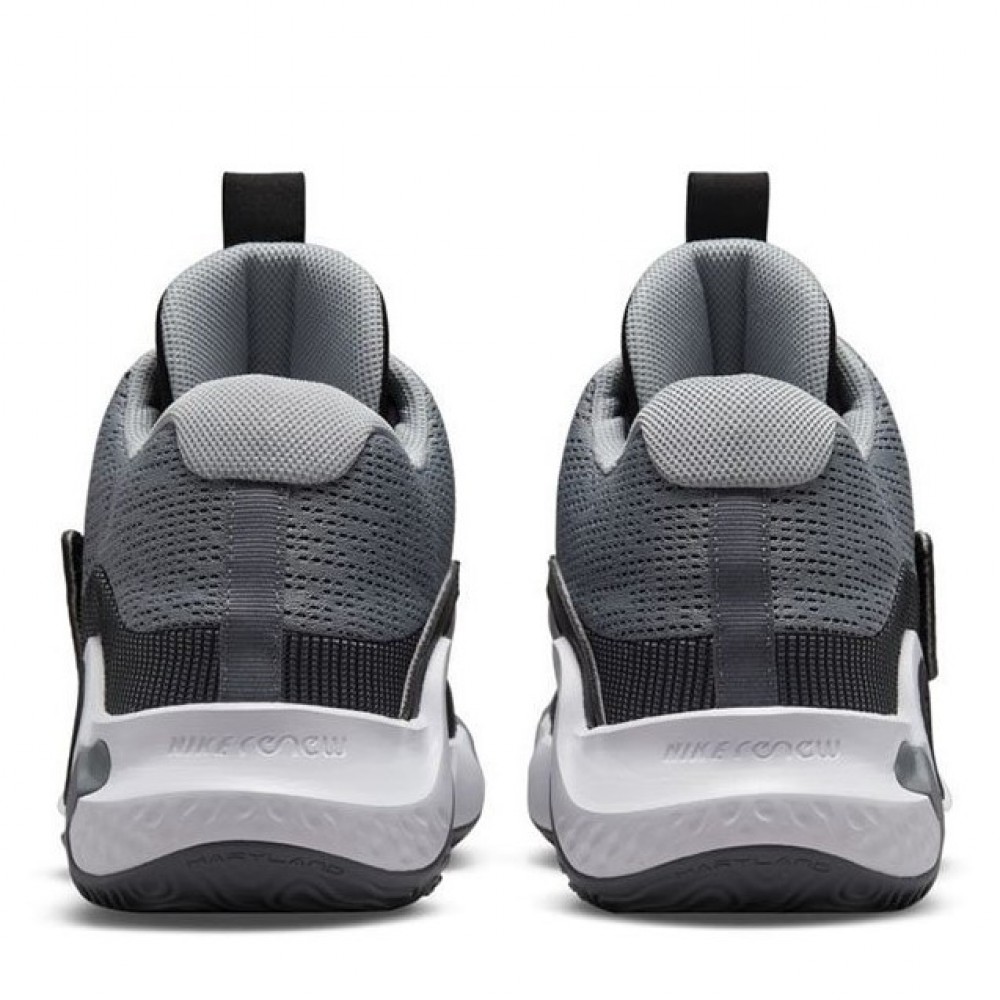 Кроссовки баскетбольные Nike KD Trey 5 X (DD9538-008)