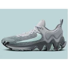 Кроссовки баскетбольные Nike Giannis Immortality 2 (DM0825-004)