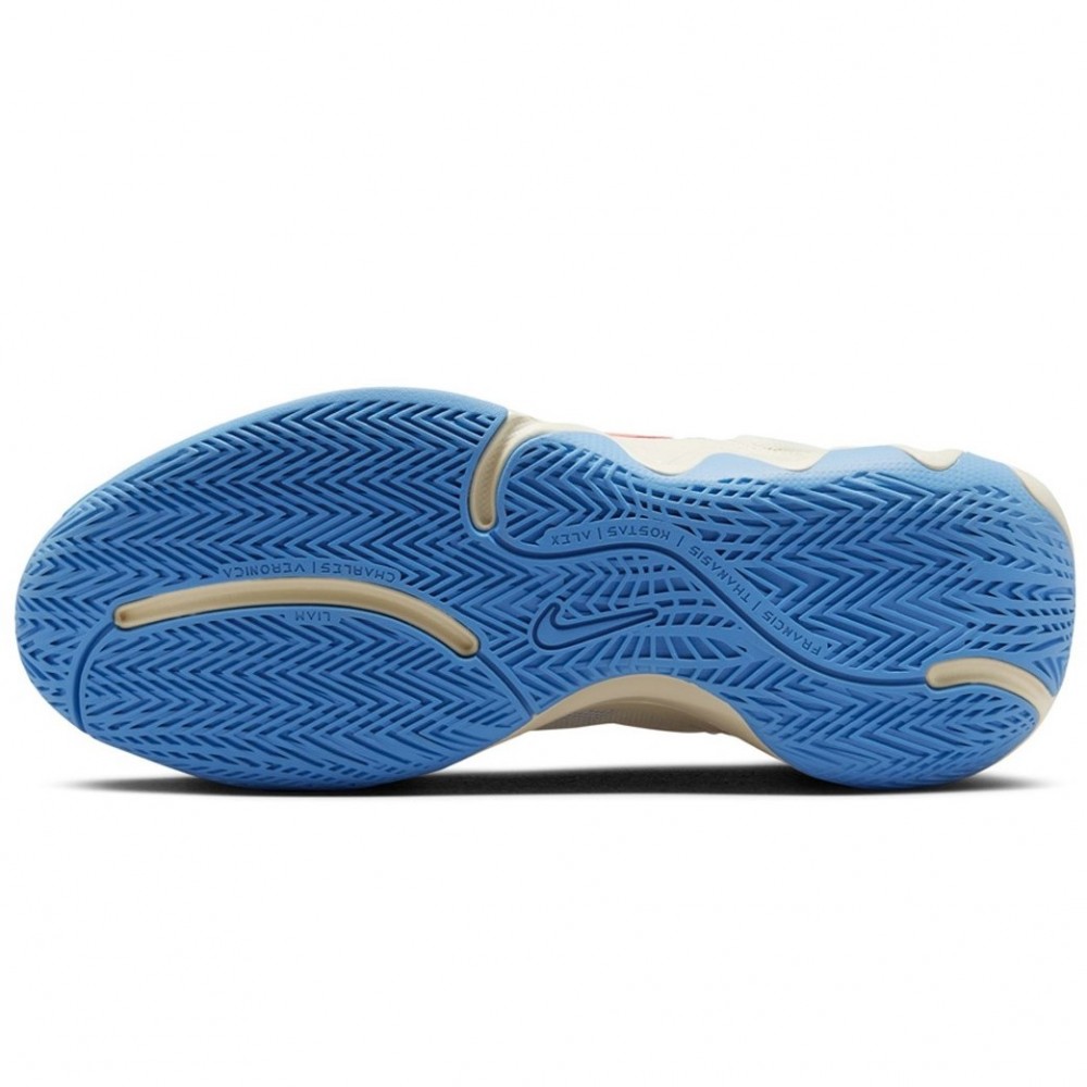 Кроссовки баскетбольные Nike Giannis Immortality 2 (DM0825-103)