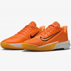 Кроссовки баскетбольные Nike Precision 7 (FN4322-800)
