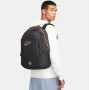 Рюкзак баскетбольный спортивный Nike Giannis Backpack 29 л полиэстер (DQ5241-010)