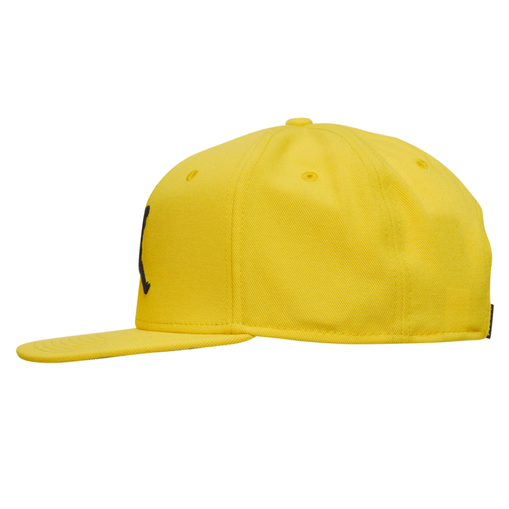 Кепка-бейсболка с прямым козырьком Jordan Pro Jumpman Snapback 6-панельный снэпбек (AR2118-719)