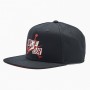 Кепка-бейсболка с прямым козырьком Jordan Pro Jumpman Spanback 6-панельный снэпбек (CW6395-013)