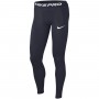 Тайтсы-лосины мужские Nike Tights спортивные (BV5641-452) 