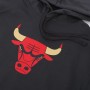 Худи баскетбольная мужская Chicago Bulls City Edition Logo (CN2534-060) 