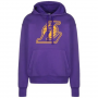 Худи-толстовка Los Angeles Lakers Essential Men's Nike NBA Fleece Pullover Hoodie (DR9401-504)