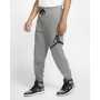 Штаны спортивные Nike Jordan Jumpman Logo Fleece Pant (BQ8646-091)