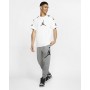 Штаны спортивные Nike Jordan Jumpman Logo Fleece Pant (BQ8646-091)