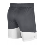 Шорты баскетбольные мужские Nike Short Practice (867768-061)