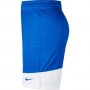 Шорты баскетбольные мужские Nike Short Practice (867768-494)