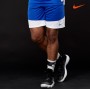 Шорты баскетбольные мужские Nike Short Practice (867768-494)