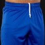 Шорты баскетбольные мужские Nike Short Practice (867768-494)