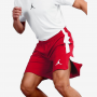 Шорты баскетбольные Jordan 23Alpha Dry Fit Short размер L, XL (905782-688)