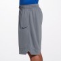 Шорты баскетбольные мужские Nike Dri-FIT Icon Men's Basketball Shorts (AJ3914-065) Шорты баскетбольные мужские Nike Dri-FIT Icon Men's Basketball Shorts (AJ3914-065)