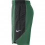 Шорты баскетбольные Nike NBA Boston Celtics мужские (AJ5050-312)
