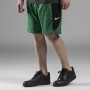 Шорты баскетбольные Nike NBA Boston Celtics мужские (AJ5050-312)