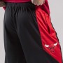 Шорты баскетбольные Nike NBA Chicago Bulls Short Practice 18 размер L, XL (AJ5056-010)