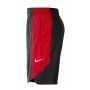 Шорты баскетбольные Nike NBA Chicago Bulls Short Practice 18 размер L, XL (AJ5056-010)