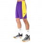 Шорты баскетбольные мужские Nike NBA Los Angeles Lakers Practice Shorts (AJ5077-504)