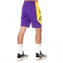Шорты баскетбольные мужские Nike NBA Los Angeles Lakers Practice Shorts (AJ5077-504)