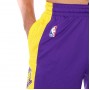 Шорты баскетбольные мужские Nike NBA Los Angeles Lakers Practice Shorts (AJ5077-504)
