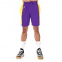 Шорты баскетбольные мужские Nike NBA Los Angeles Lakers Practice Shorts (AJ5077-504)