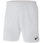 Шорты мужские спортивные Nike Dri-Fit Vapor Knit II Shorts для спорта и на каждый день (AQ2685-100)