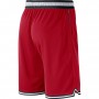 Баскетбольные шорты Nike Chicago Bulls DNA размер L, XL (AV0130-657)