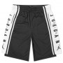 Шорты мужские баскетбольные Jordan HBR BASKETBALL SHORT размер L, XL (BQ8392-010)