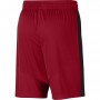 Шорты мужские баскетбольные Jordan JUMPMAN BBALL размер L, XL (CK6837-687)