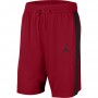 Шорты мужские баскетбольные Jordan JUMPMAN BBALL размер L, XL (CK6837-687)