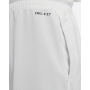 Шорты баскетбольные Jordan Dri-FIT Air Diamond (CV3086-100)