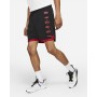 Шорты Air Jordan GFX Knit Short мужские баскетбольные (CZ4760-010)