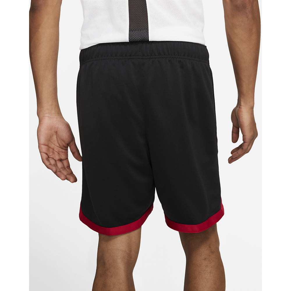 Шорты Air Jordan GFX Knit Short мужские баскетбольные (CZ4760-010)