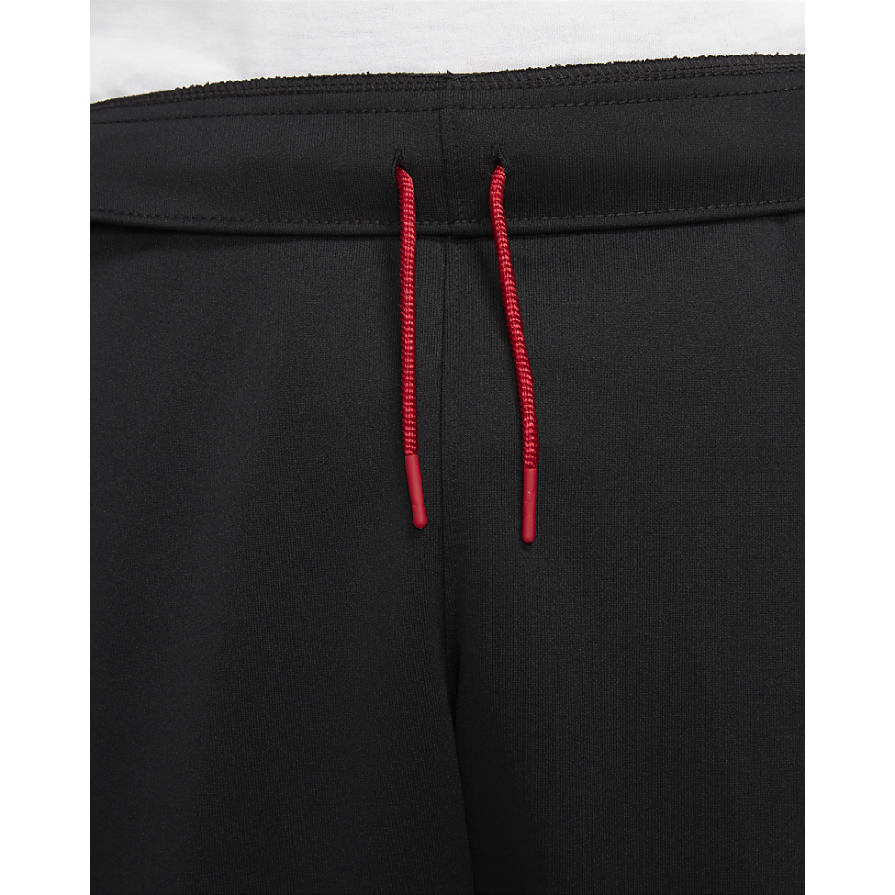 Шорты Air Jordan GFX Knit Short мужские баскетбольные (CZ4760-010)