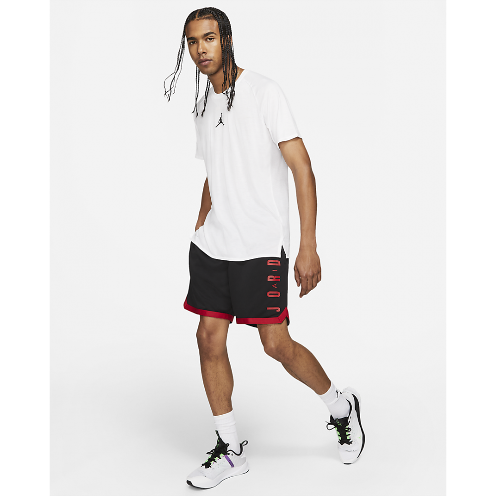 Шорты Air Jordan GFX Knit Short мужские баскетбольные (CZ4760-010)