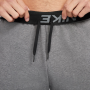 Шорты мужские спортивные Nike Dri-Fit Men's Shorts для спорта и на каждый день (DA5556-071)