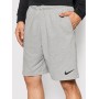 Шорты мужские спортивные Nike Dri-Fit Men's Shorts для спорта и на каждый день (DA5556-145)