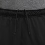 Шорты мужские спортивные Nike Dri-FIT Shorts для спорта и на каждый день (DD1887-010)