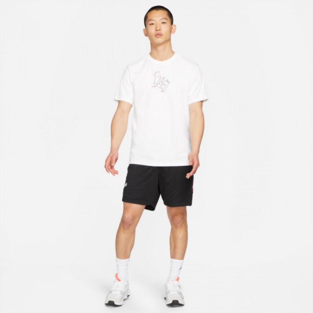 Шорты баскетбольные мужские Jordan AJ5 Mesh Graphic Short (DD5274-010)
