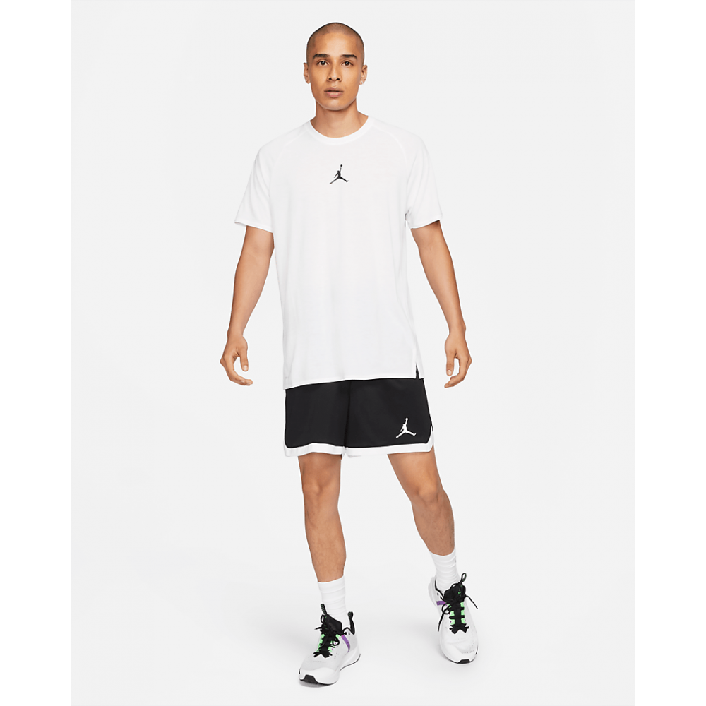 Шорты баскетбольные мужские Jordan Dri-FIT Air Knit Short (DH2040-010)