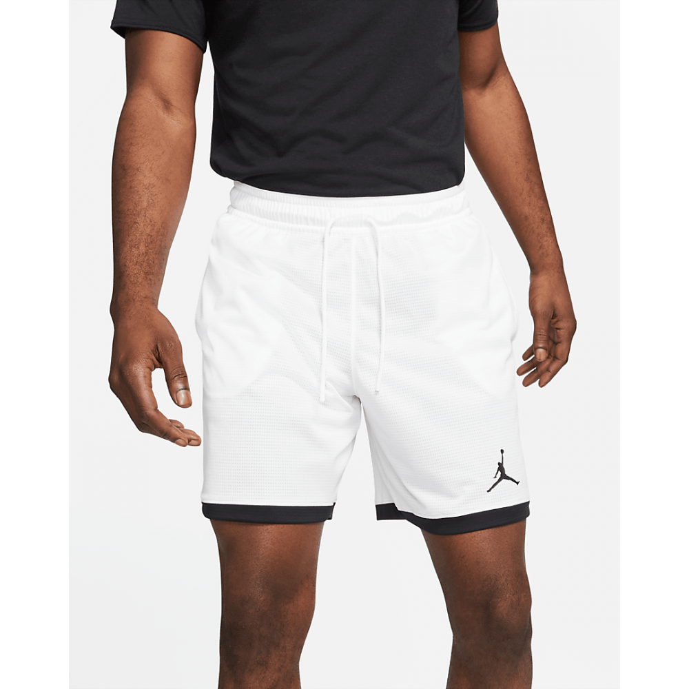 Шорты баскетбольные мужские Jordan Dri-FIT Air Knit Short (DH2040-100
